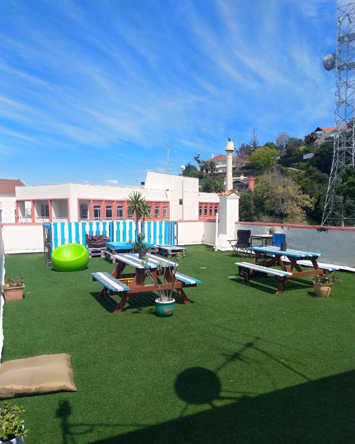 Crashpalace Backpackers ネーピア エクステリア 写真